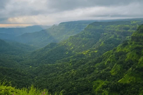 farmhouses, farmhouse in goa, farmhouse plots, farmhouse land, farmhouse to buy, farmhouse on sale, buy a farmhouse, farmhouse near me, farmhouse in india, own a farm land, own a farmhouse, farm land, farm land in india, goa listings, goa villa, goa properties, villa for sale, farmhouse, goa farmhouse, house for sale in goa, goa villa for sale, luxury villa, villa for rent, villa for rent in goa, villa with pool, holiday homes goa, goa real estate, real estate agents, properties, property dealers, plots for sale, na plots, hotel for sale, flats for sale, apartments, goa flats, goa apartments, duplex, studios, 1bhk, 2bhk flat, 2bhk villa, 3bhk villa in goa, 4bhk villa in goa, 5bhk villa in goa, 6bhk villa, 10bhk villa, portuguese villa for sale in goa, portuguese house, portuguese villa, old portuguese house, old portuguese villa, luxury homes, beach villas, shops for sale, north goa, goa, vagator, anjuna, assagao, mopa, siolim, dodamarg, thalassa, antares, hilltop, sunburn, goa properties for sale, fully furnished villa, penthouse for sale in goa, new launch villas, ready villa, luxury homes, luxury real estate, india real estate, luxury properties for sale in india, best real estate agents, best realtors in india, goa realtors, beach villas, shops for sale, casino for sale, yacht in goa, yacht rental, book yacht, yacht booking goa, Private Luxury Yacht in Goa, Cruise in Goa, private cruise in goa, resort for sale, north goa, goa, vagator, anjuna, assagao, mopa, siolim, panjim, goa properties for sale, fully furnished villa, lux listings, luxury listings, pooja khurana goa, 8178287093, dlf goa, dlf villas, ashray, isprava, acron, vianaar goa, vianaar villa, mvr, ghd, sun estates, yugen, lodha, airbnb, booking.com, mmt, 99 acres, magic brick, housing.com