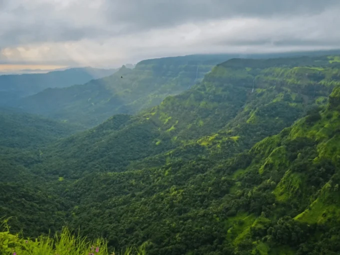 farmhouses, farmhouse in goa, farmhouse plots, farmhouse land, farmhouse to buy, farmhouse on sale, buy a farmhouse, farmhouse near me, farmhouse in india, own a farm land, own a farmhouse, farm land, farm land in india, goa listings, goa villa, goa properties, villa for sale, farmhouse, goa farmhouse, house for sale in goa, goa villa for sale, luxury villa, villa for rent, villa for rent in goa, villa with pool, holiday homes goa, goa real estate, real estate agents, properties, property dealers, plots for sale, na plots, hotel for sale, flats for sale, apartments, goa flats, goa apartments, duplex, studios, 1bhk, 2bhk flat, 2bhk villa, 3bhk villa in goa, 4bhk villa in goa, 5bhk villa in goa, 6bhk villa, 10bhk villa, portuguese villa for sale in goa, portuguese house, portuguese villa, old portuguese house, old portuguese villa, luxury homes, beach villas, shops for sale, north goa, goa, vagator, anjuna, assagao, mopa, siolim, dodamarg, thalassa, antares, hilltop, sunburn, goa properties for sale, fully furnished villa, penthouse for sale in goa, new launch villas, ready villa, luxury homes, luxury real estate, india real estate, luxury properties for sale in india, best real estate agents, best realtors in india, goa realtors, beach villas, shops for sale, casino for sale, yacht in goa, yacht rental, book yacht, yacht booking goa, Private Luxury Yacht in Goa, Cruise in Goa, private cruise in goa, resort for sale, north goa, goa, vagator, anjuna, assagao, mopa, siolim, panjim, goa properties for sale, fully furnished villa, lux listings, luxury listings, pooja khurana goa, 8178287093, dlf goa, dlf villas, ashray, isprava, acron, vianaar goa, vianaar villa, mvr, ghd, sun estates, yugen, lodha, airbnb, booking.com, mmt, 99 acres, magic brick, housing.com